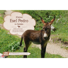 Kamishibai Karten Kleiner Esel Pedro in Gefahr